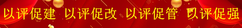 审核评估